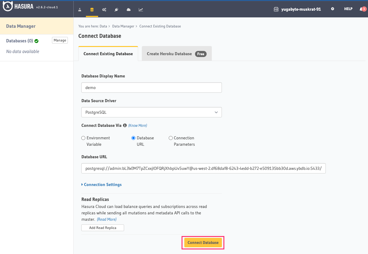 Database setup